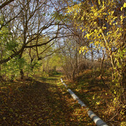 2a03817m
