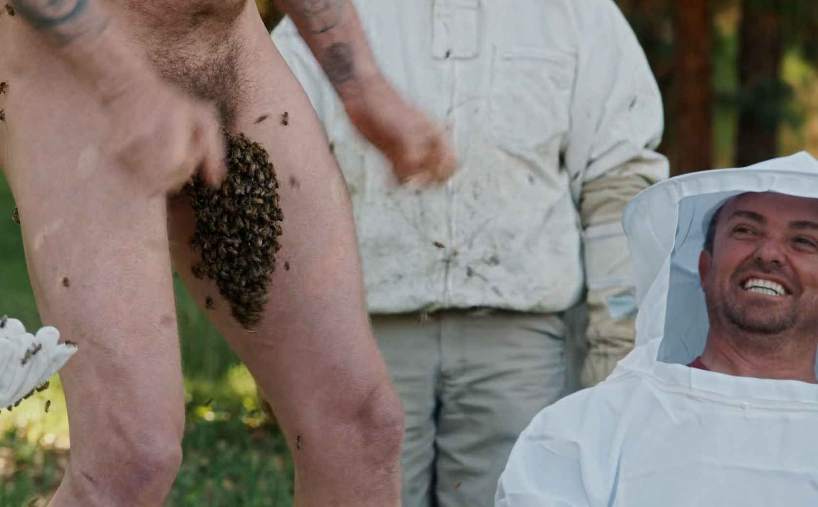 steve-o-2.png