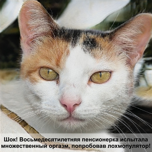 Загружено: Наталия Ключникова. Россия Пенза