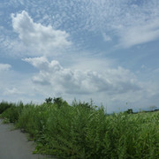 P1330201