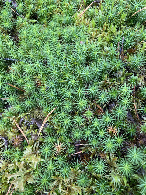 122-EF7-E7-0023-4170-9-AE7-F2783522-ED27