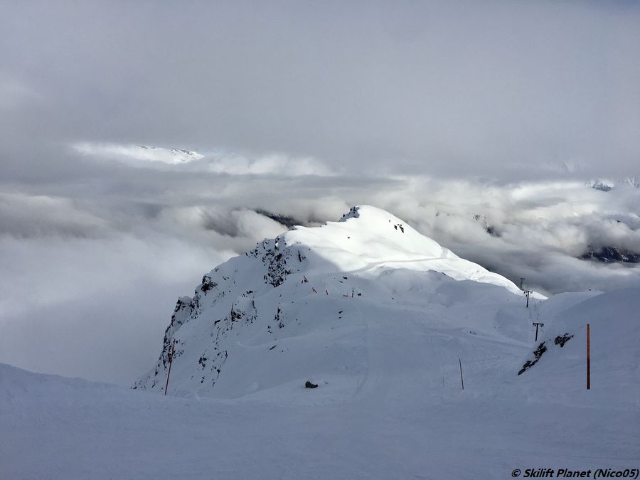 IMG-2518.jpg