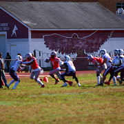 IMG-0533