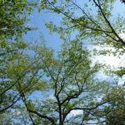 P1350268