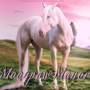 Webp-net-compress-image-81