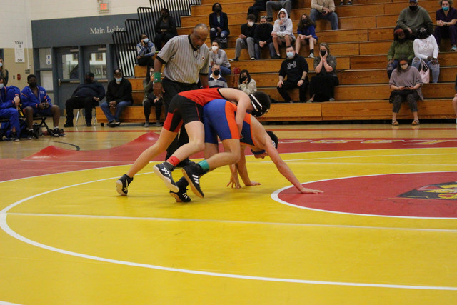 IMG-0311