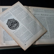 IMG-7692
