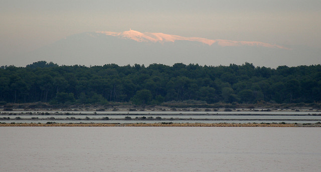 IMG-3387