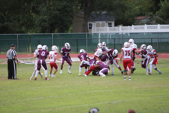 IMG-2827.jpg