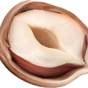 Nut2