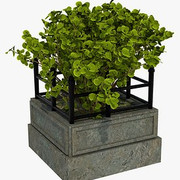pot1