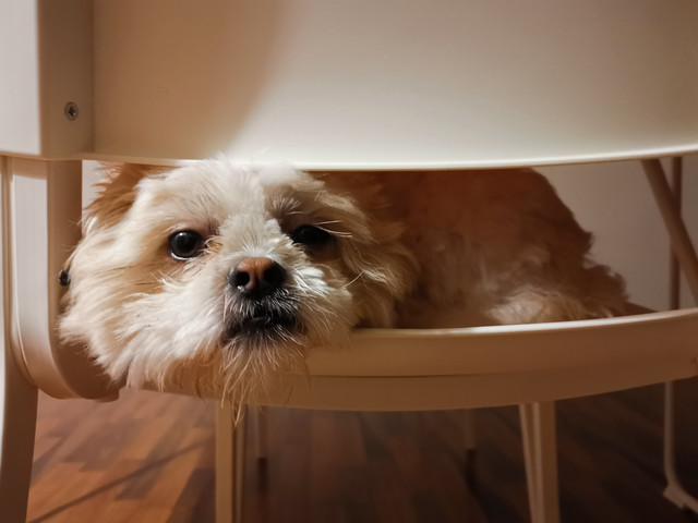 IMG-20191209-201939
