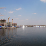 DSC03555