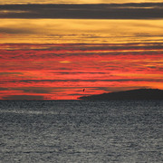 IMG-3247