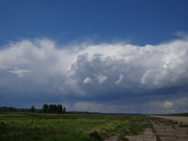 DSC00577.jpg