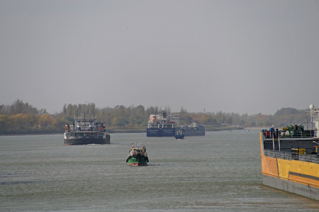 DSC08251.jpg