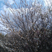 IMG-20230302-121105