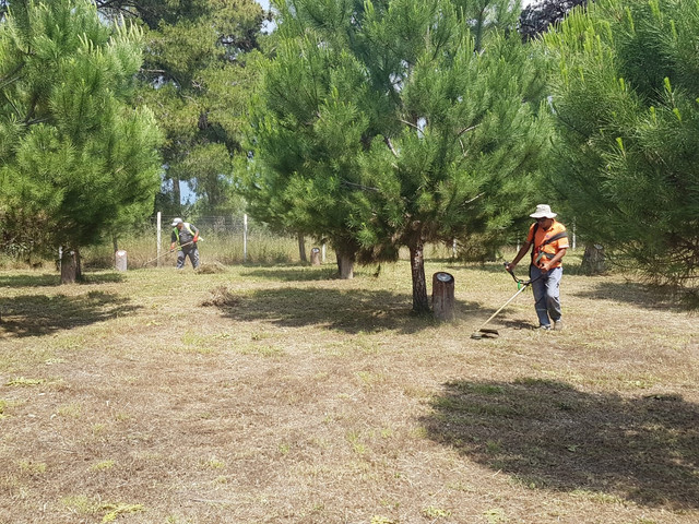 MANAVGAT EHTLER ORMANINA BAKIM YAPILDI