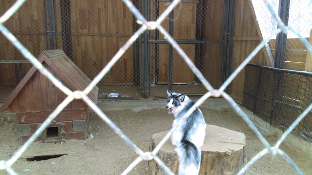 IMAG0563