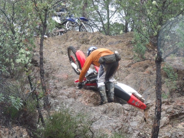 DSCF1238.jpg