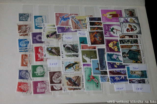 IMG-2563.jpg