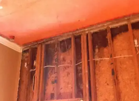 Mold-Remediation-Burlington