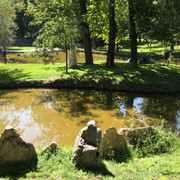 IMG-0779