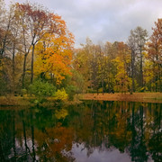 DSCF1792-1
