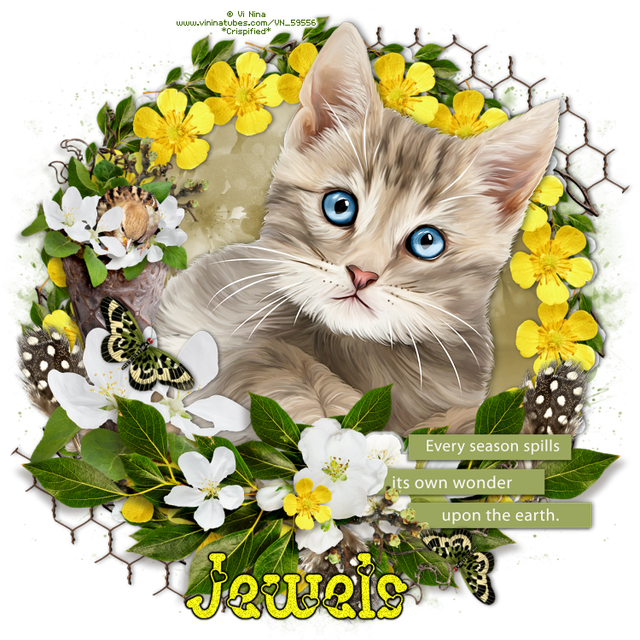 Jewels-4318-F