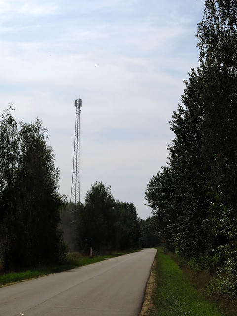 IMG-4632