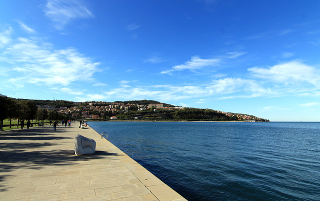 IMG-0562