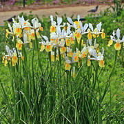 IMG-4997