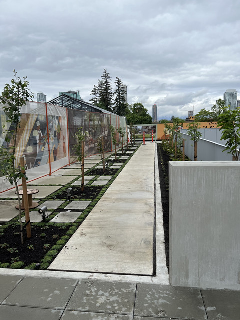 Century City - May 25, 2024