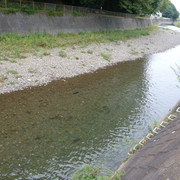 P1350324