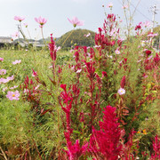 2011-10-08-08