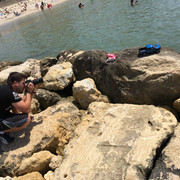 IMG-7271