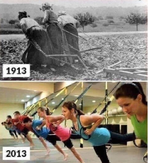 Women-Excercise.jpg