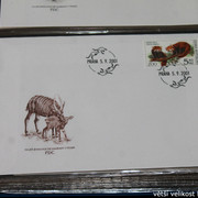 IMG-2678