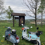 IMG-9331