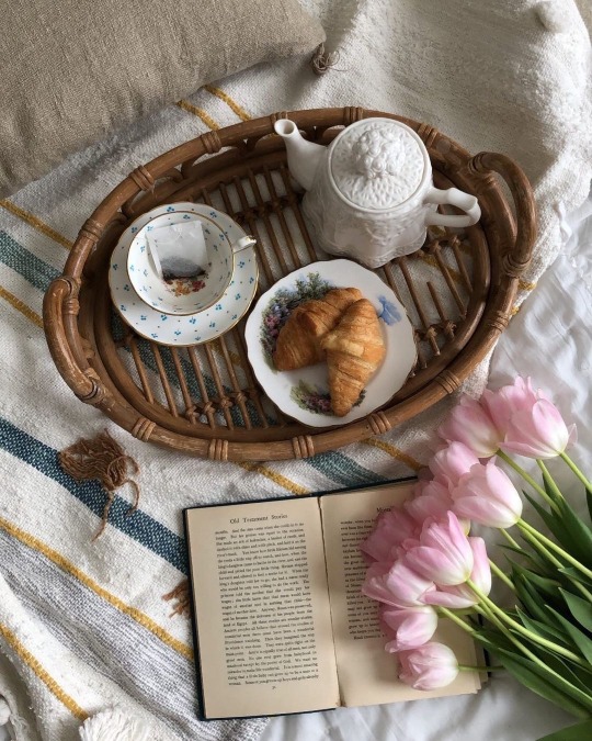 tumblr-a5e63f454c024d0ea82feb56e01c67aa-be63dd4e-540