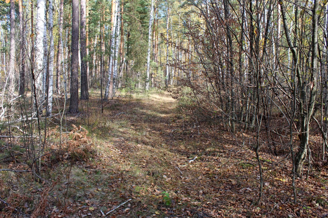 IMG-2203