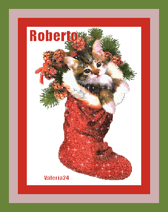 ednaed-nammgedaanyrob