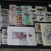 IMG-2040
