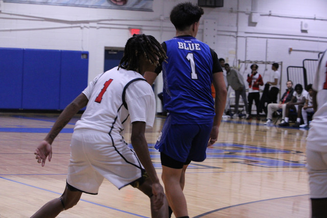 IMG-3337.jpg