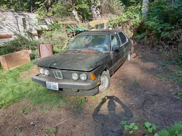 BMW320is-Driver