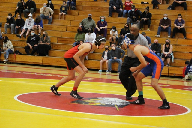 IMG-0231