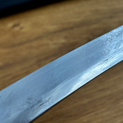 IMG-E1457