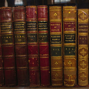 IMGP8922