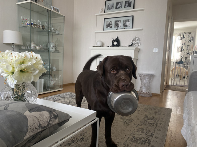 132-ACC3-D-4-A4-E-46-DC-84-D6-B14-D872-C