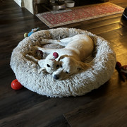 IMG-0941